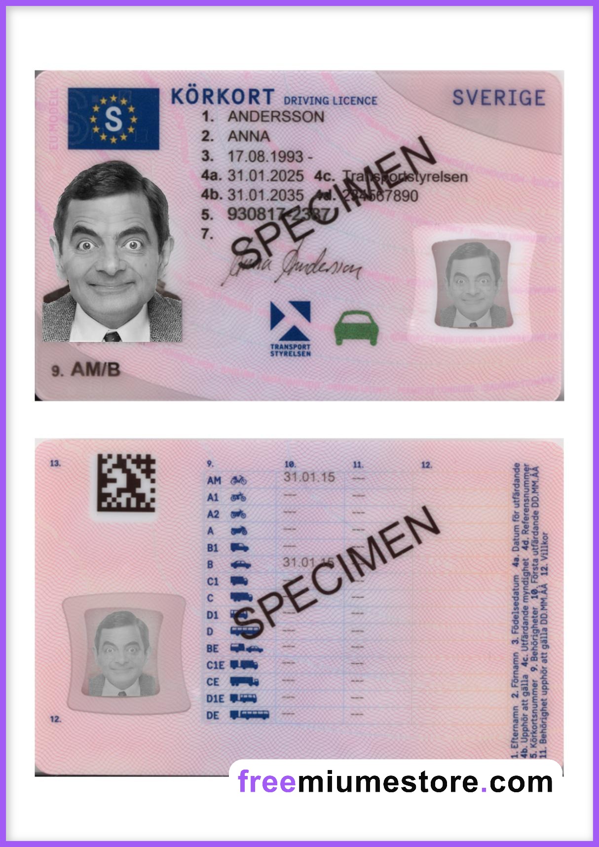 Sweden Driver license PSD Template Download